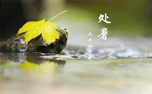 【處暑時節(jié)，錦泰合盛商貿共繪綠色化工新篇章】.jpg
